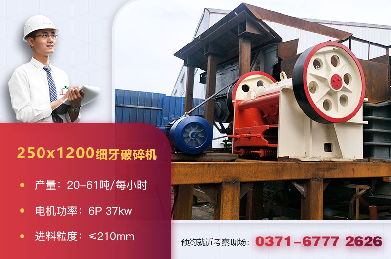 細(xì)顎破碎機(jī)250x1200型 細(xì)顎破碎機(jī)250x1200型